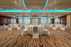  Diplomat Radisson Blu-7