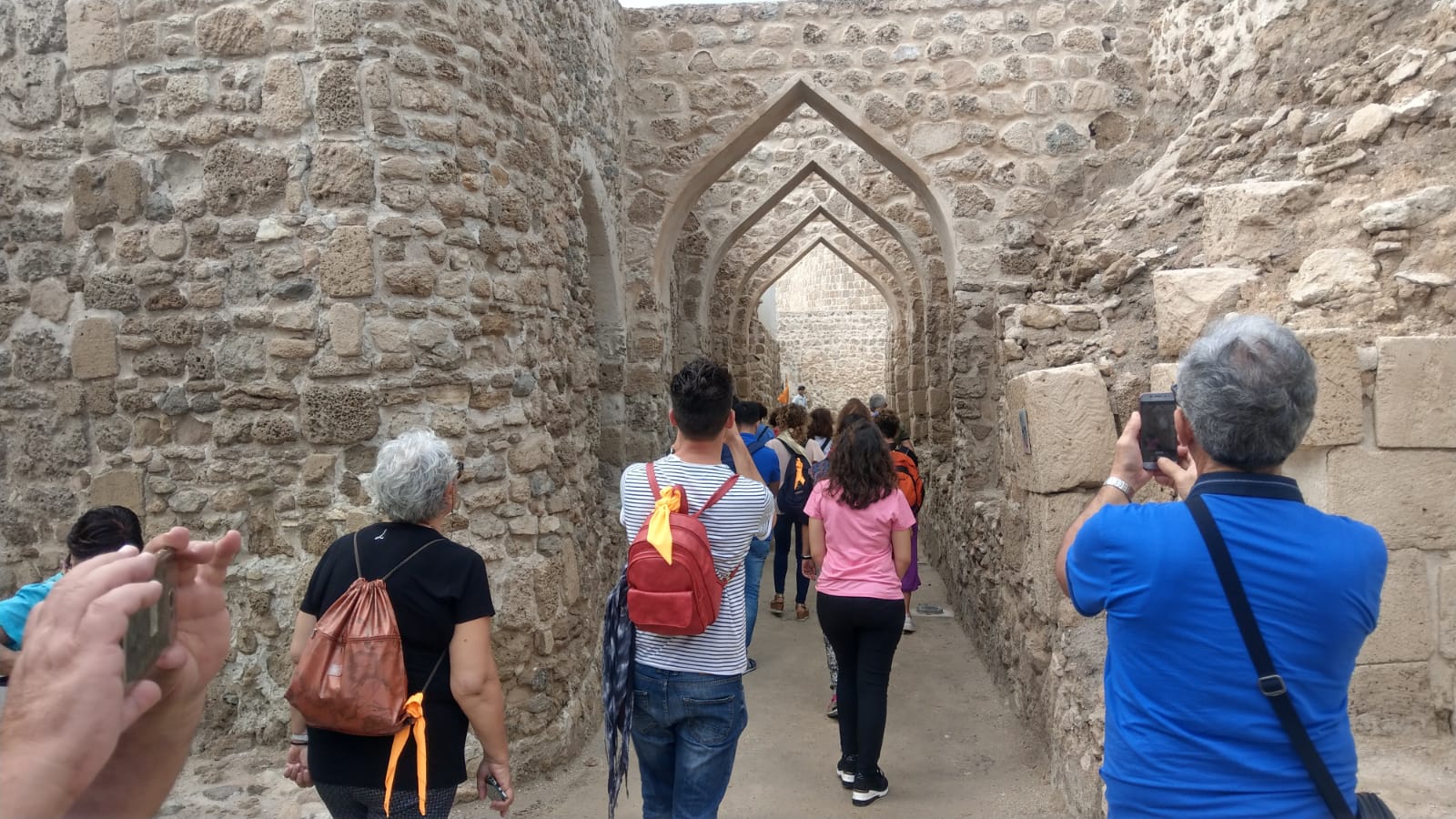 Ishtar Gate Tours (7)