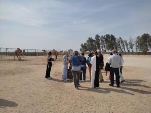 Travel Knits Vacanza (21)