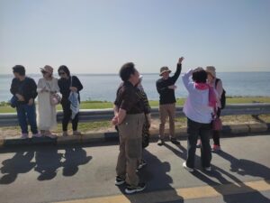 Travel Knits Vacanza (36)