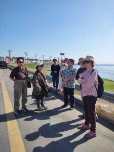 Travel Knits Vacanza (37)