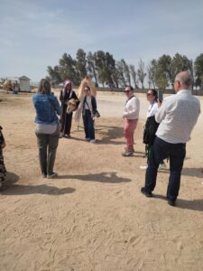 Travel Knits Vacanza (4)