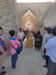 Travel Knits Vacanza (40)