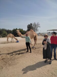 Travel Knits Vacanza (5)